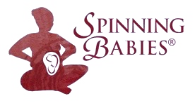 Spinning Babies®